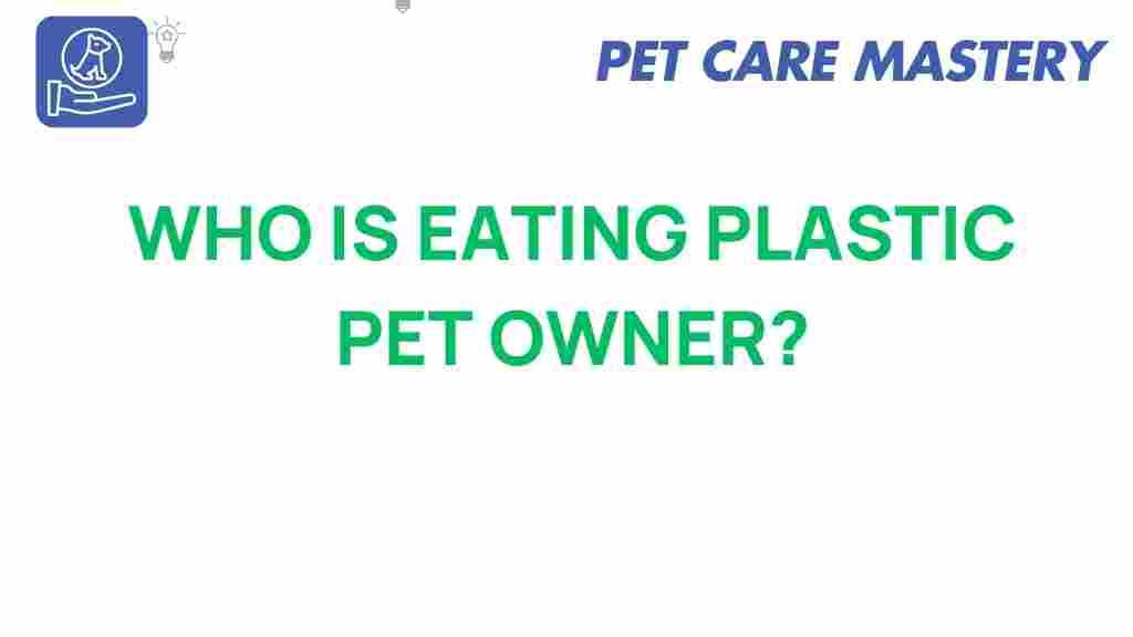 plastic-contamination-pet-diet