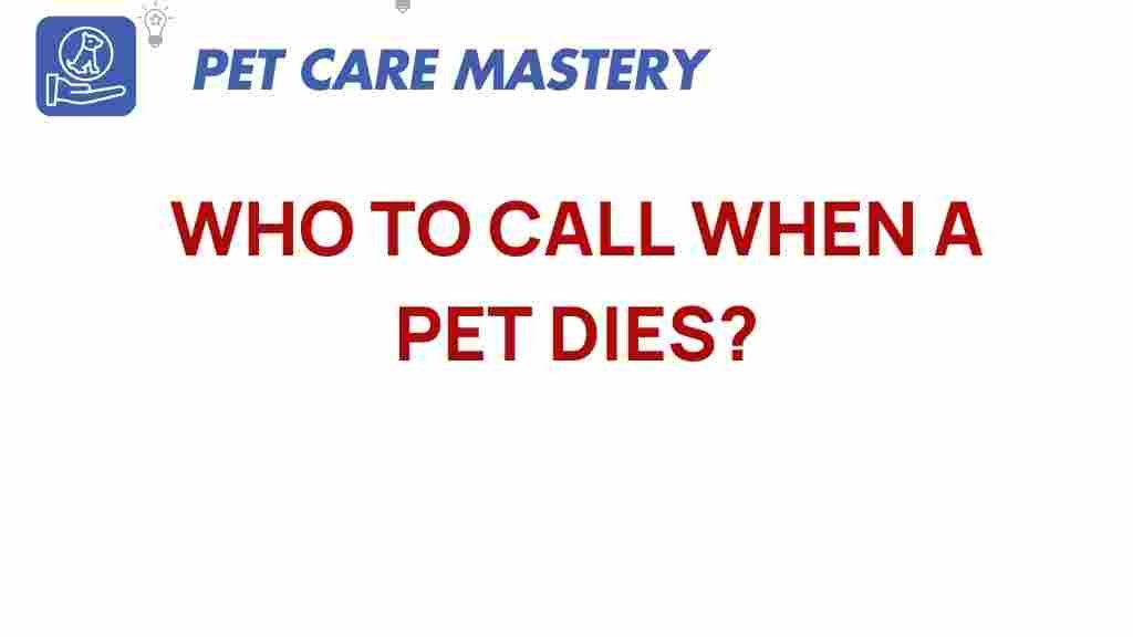 pet-loss-support