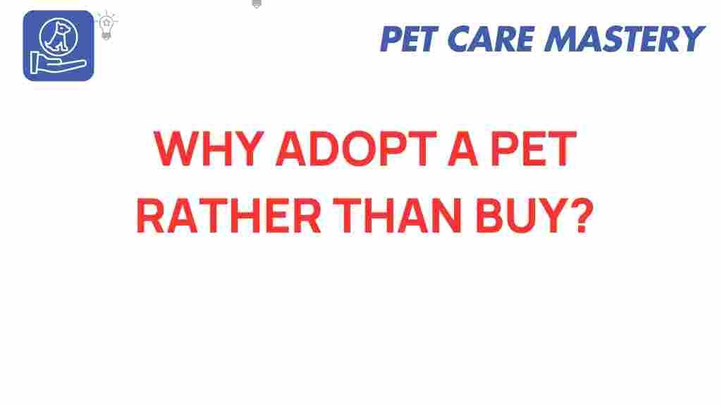 pet-adoption-why-choose