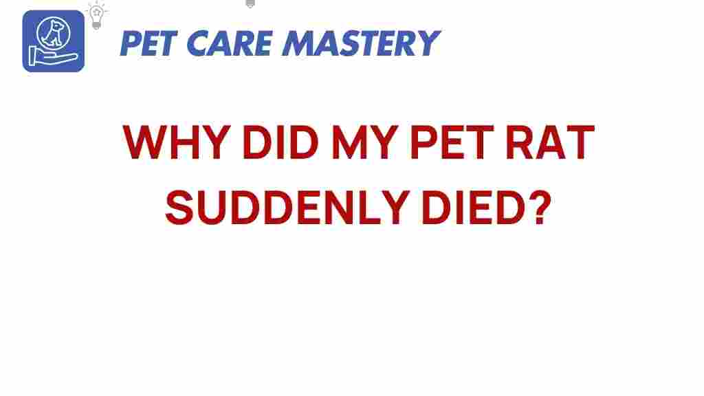 pet-rat-sudden-death