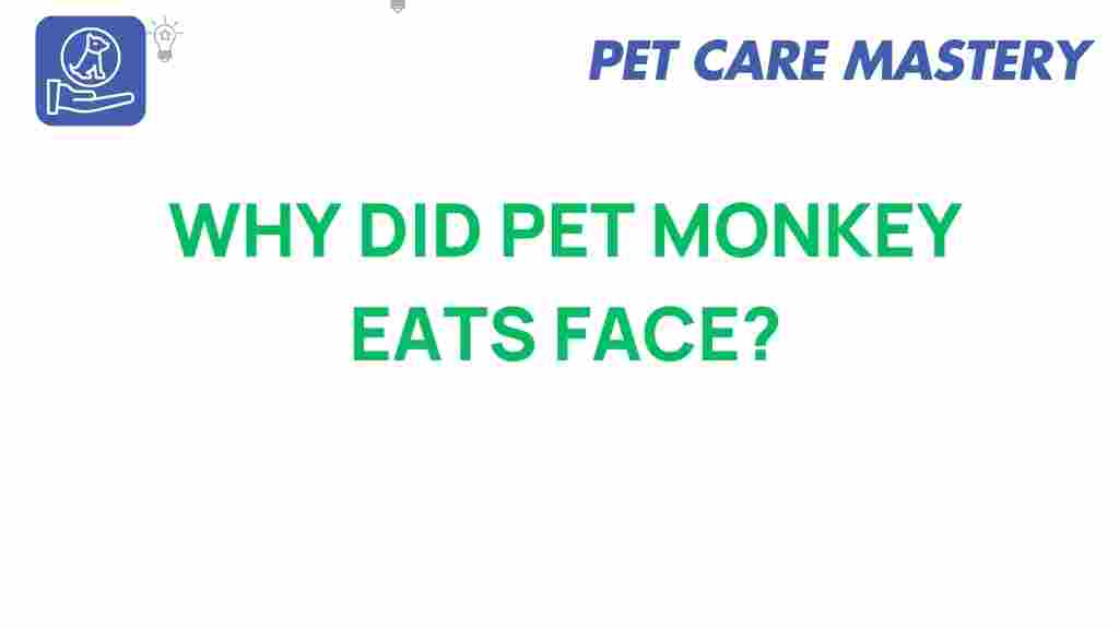 pet-monkeys-bite-reasons