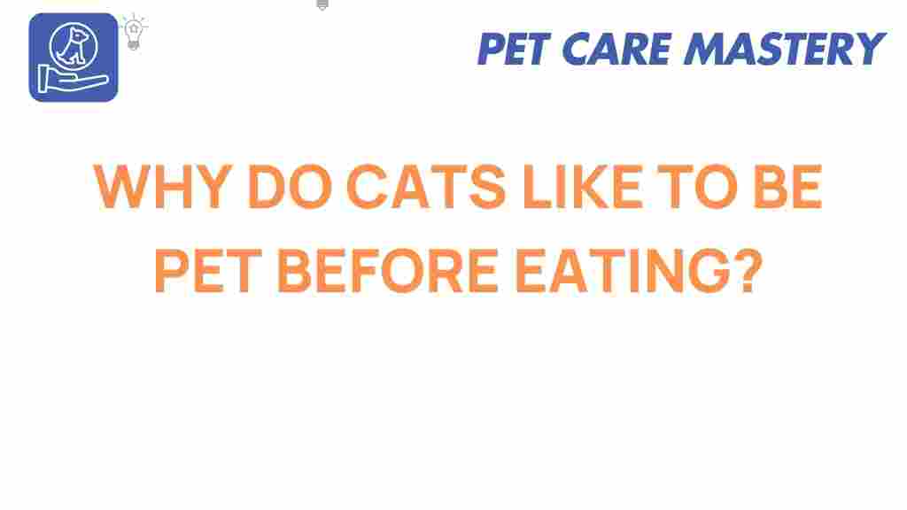 cats-petting-before-eating