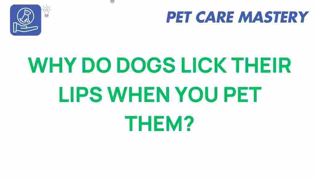 dog-behavior-lip-licking