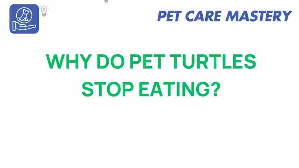 pet-turtles-stop-eating