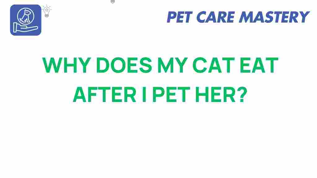 cat-behavior-petting-appetite