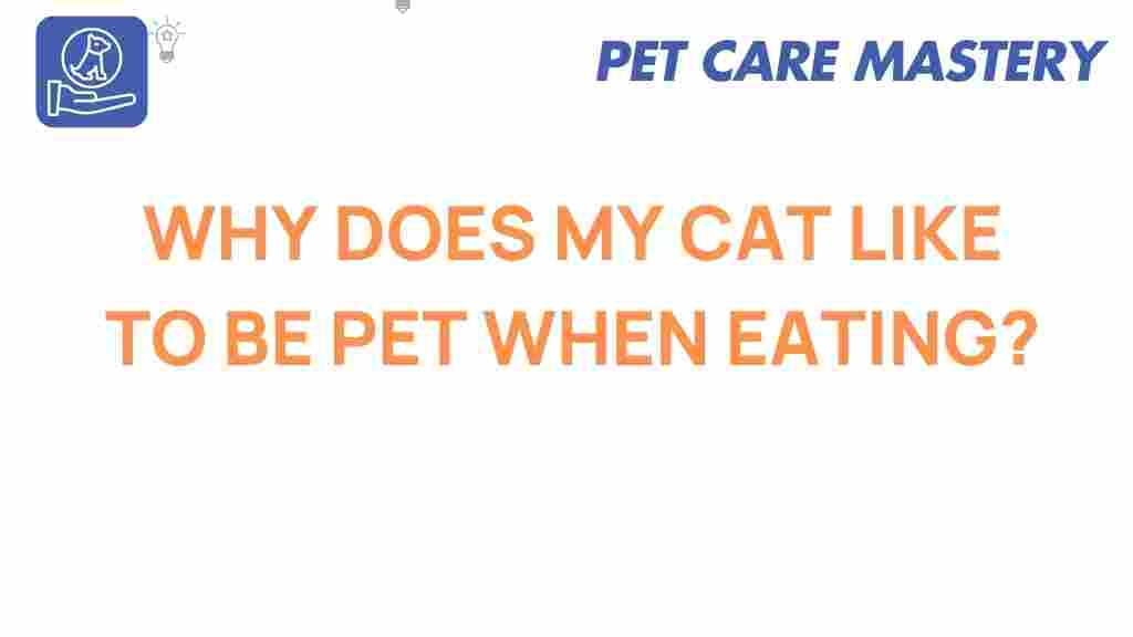 cat-behavior-petting-eating
