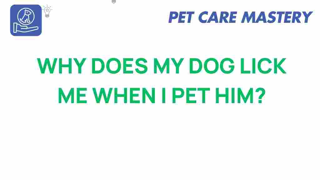 dog-licking-why-pet