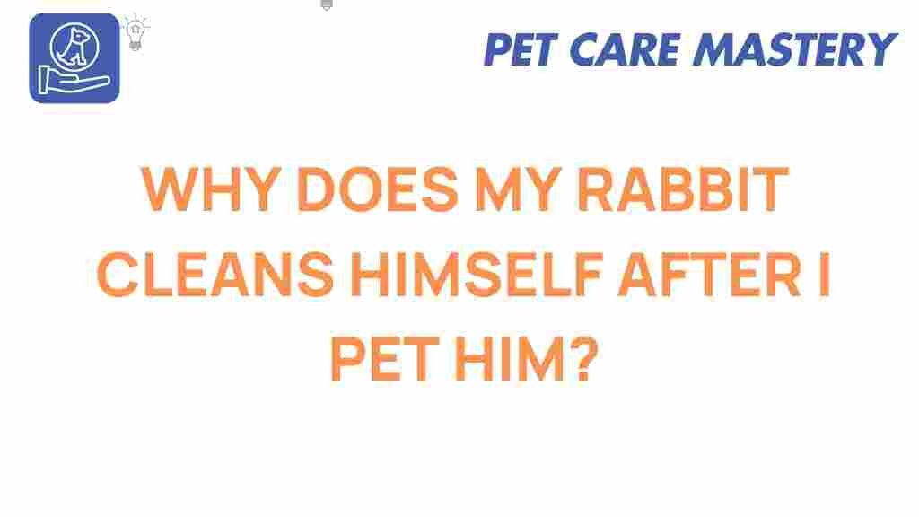 rabbit-grooming-behavior