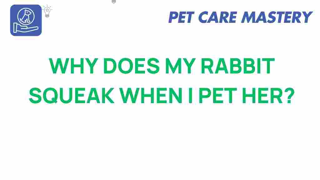 rabbit-squeaks-petting