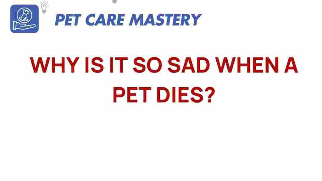 pet-loss-why-is-it-so-sad