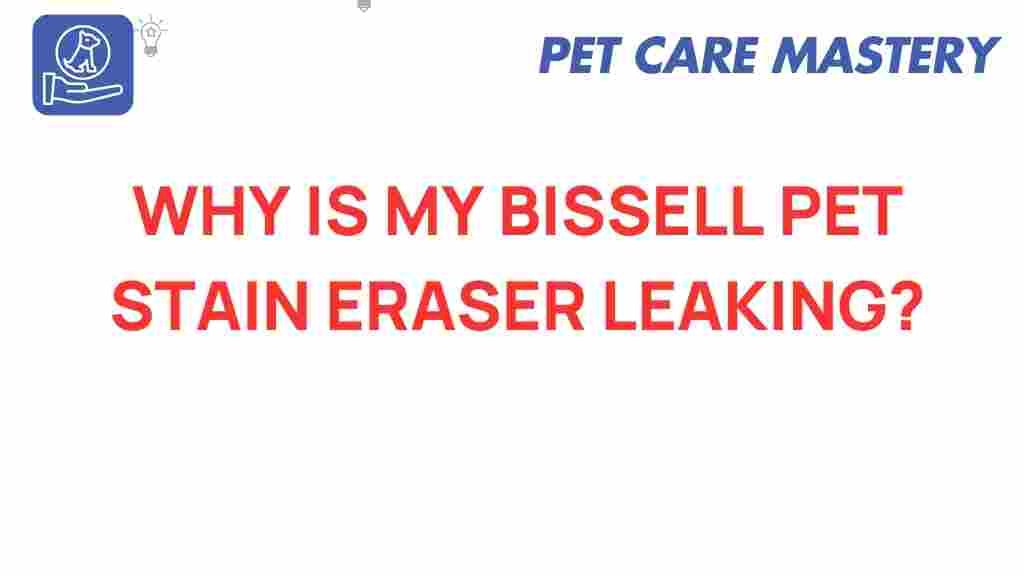 bissell-pet-stain-eraser-leaking