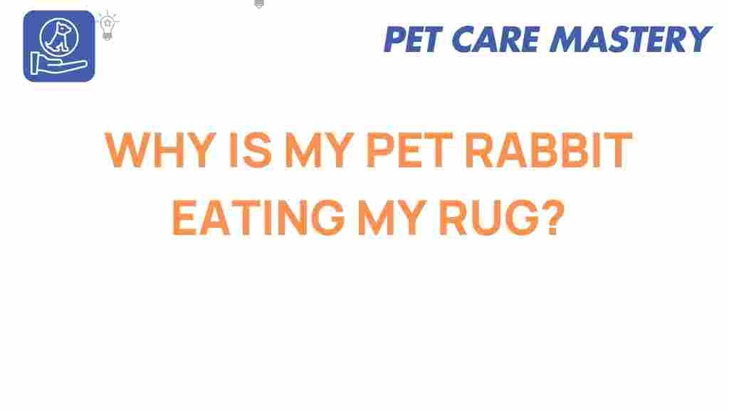 pet-rabbit-chewing-rug