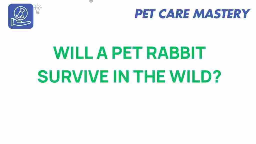 pet-rabbit-survive-wild