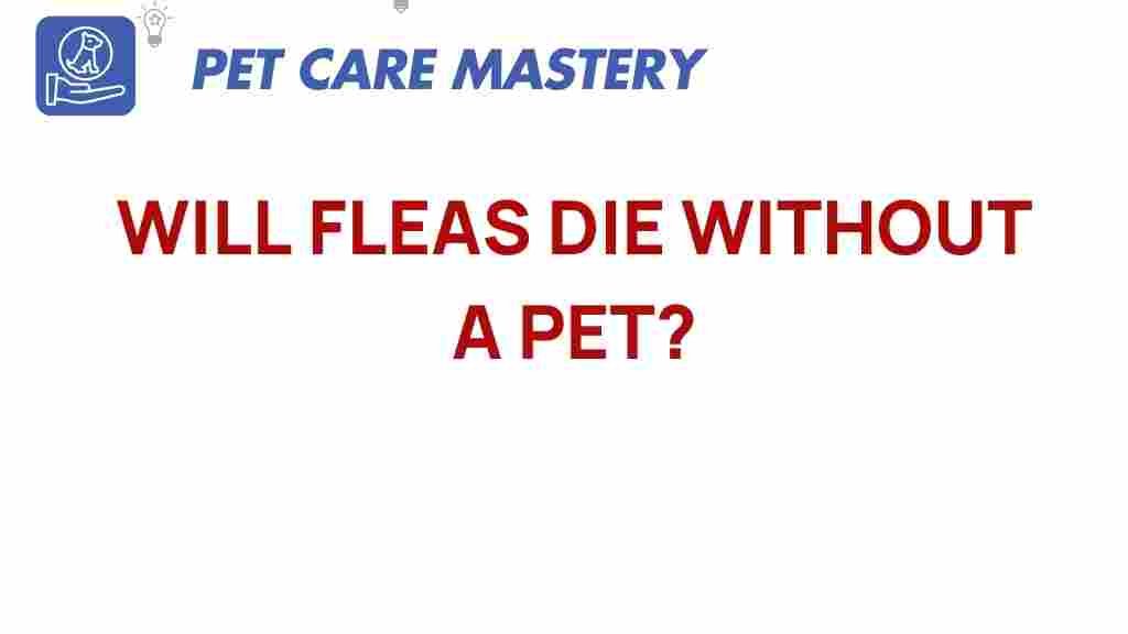 fleas-survive-without-pets