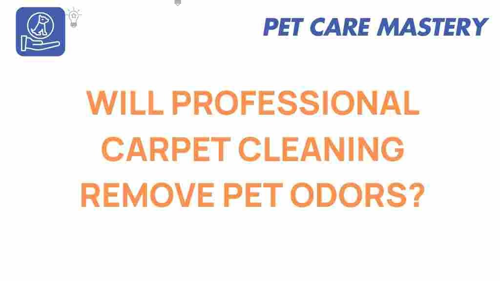 carpet-cleaning-pet-odors