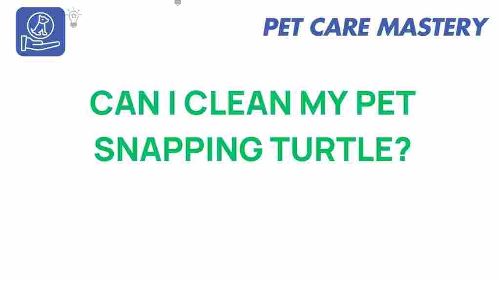 pet-care-cleaning-snapping-turtle