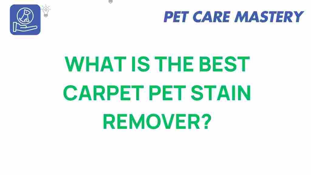 carpet-pet-stain-remover